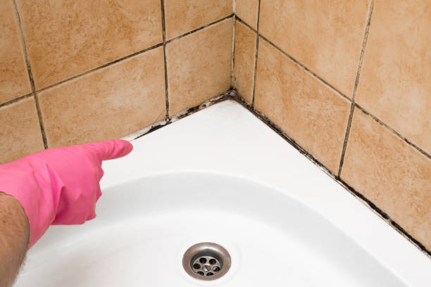 Best Crawl Space Mold Removal  in Casa Blanca, AZ